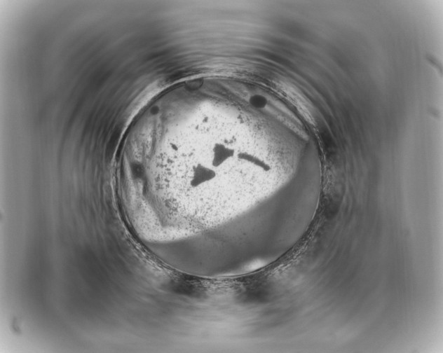 X0000097000899200802221518