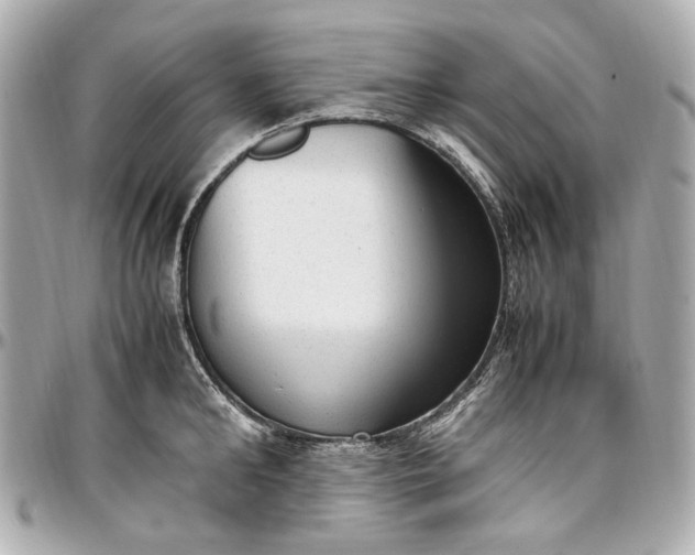 X0000097000902200802221518