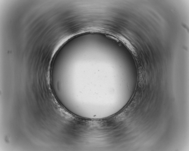 X0000097000904200802221518