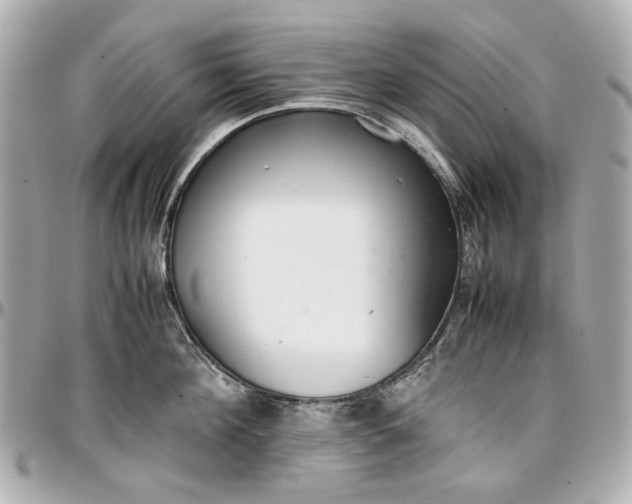 X0000097000908200802221518