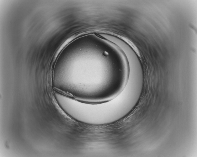 X0000097000911200802221518