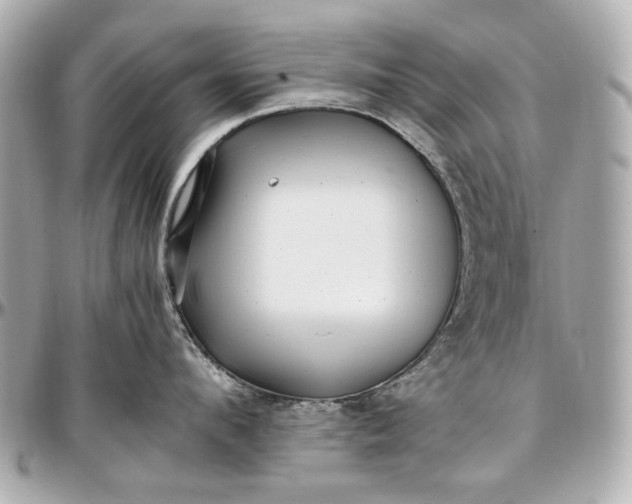 X0000097000912200802221518