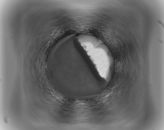 X0000097000913200802221517