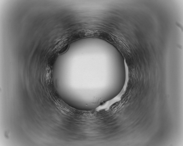 X0000097000914200802221517