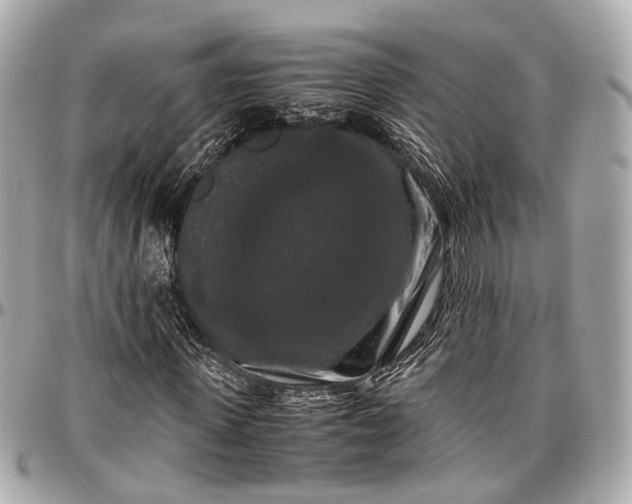 X0000097000915200802221517