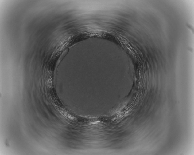 X0000097000916200802221517