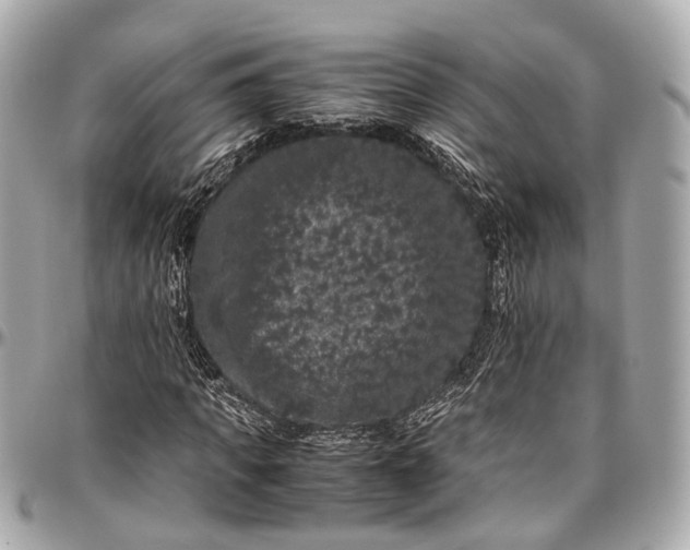 X0000097000917200802221517