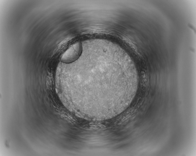 X0000097000918200802221517