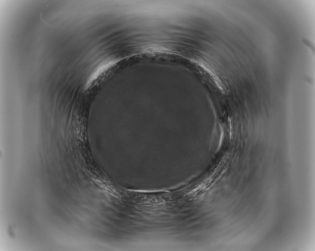 X0000097000919200802221517