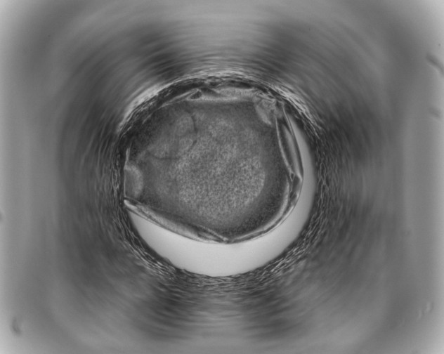 X0000097000920200802221517