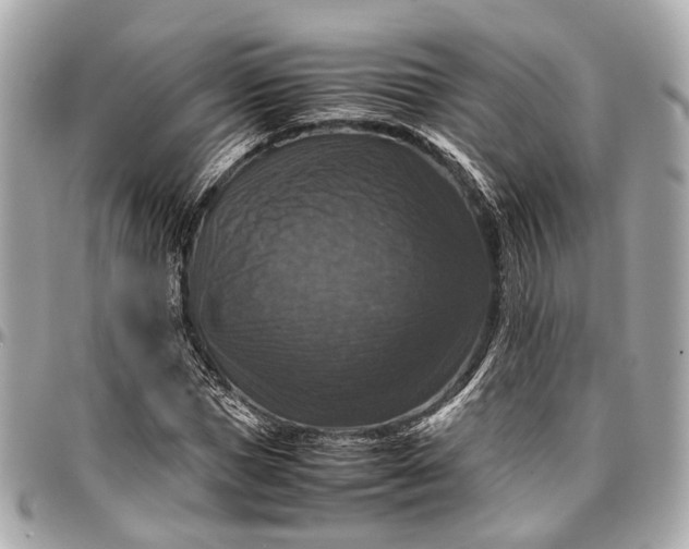 X0000097000921200802221517