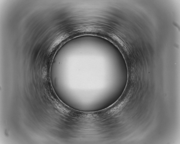 X0000097000922200802221517