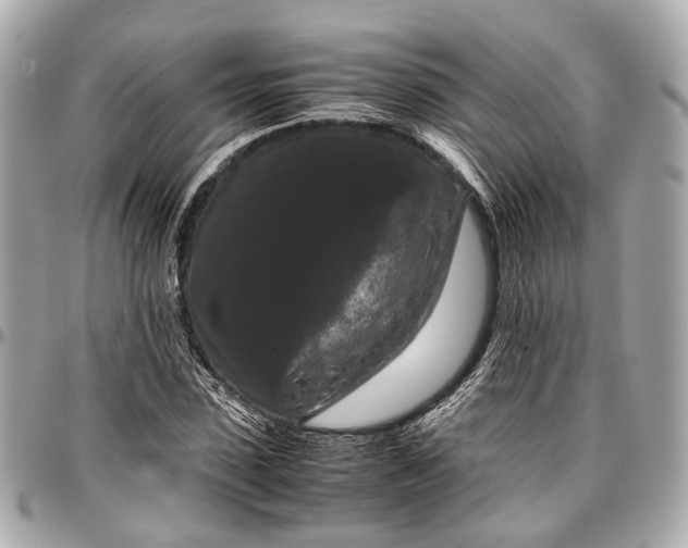 X0000097000923200802221517