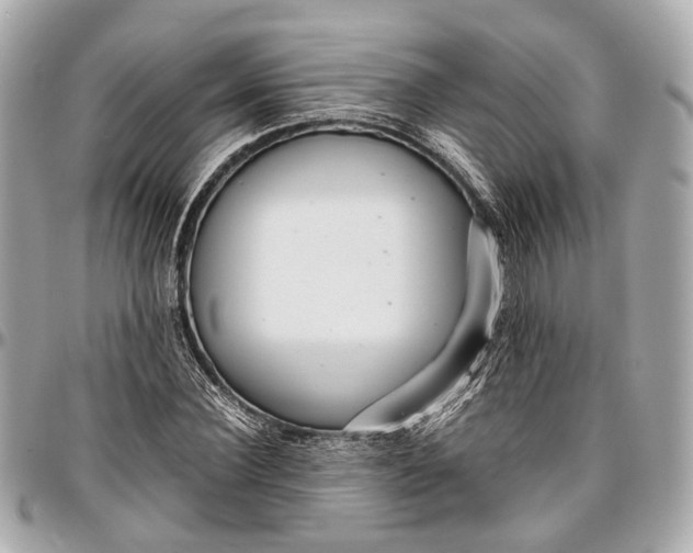 X0000097000924200802221517