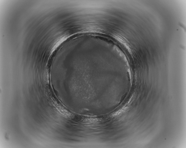 X0000097000925200802221517