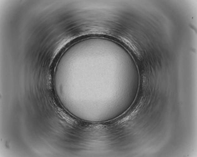 X0000097000926200802221517