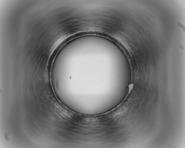 X0000097000927200802221517