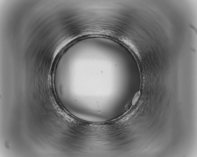 X0000097000928200802221517