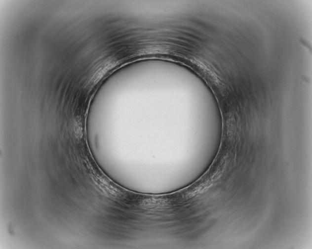 X0000097000929200802221517