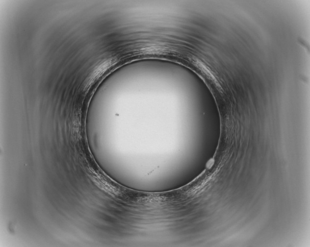 X0000097000930200802221517