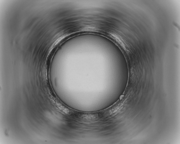 X0000097000931200802221517