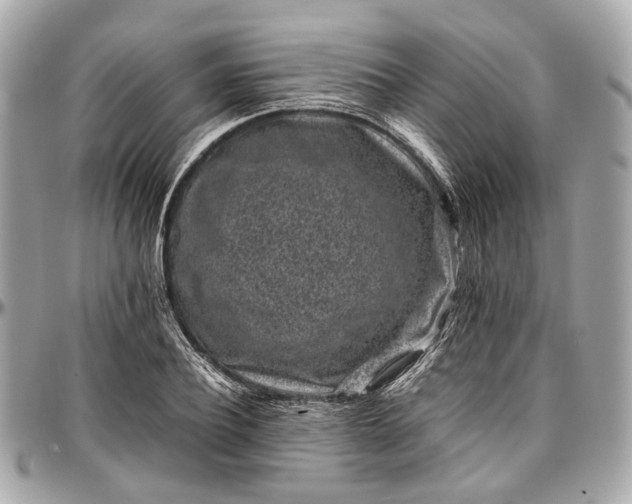 X0000097000932200802221517