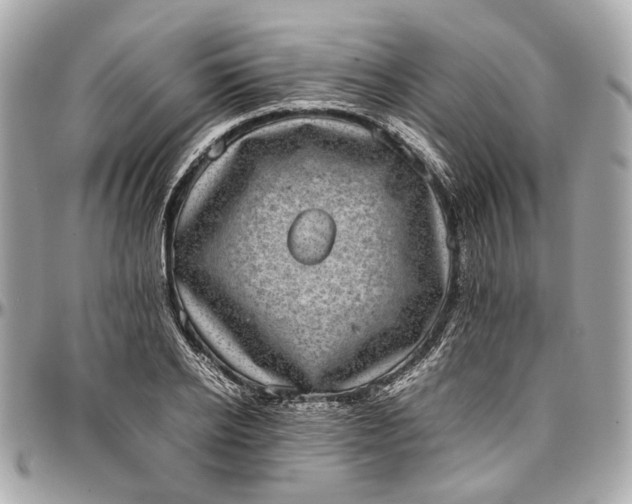 X0000097000934200802221518