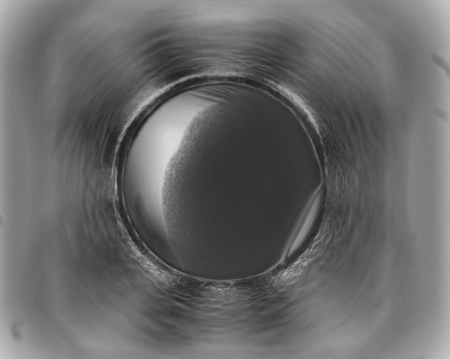 X0000097000935200802221518