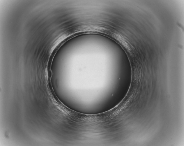 X0000097000936200802221518