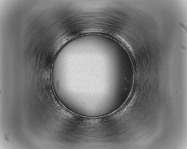 X0000097000937200802221518