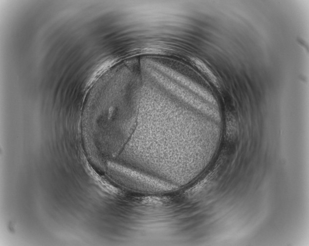 X0000097000938200802221518