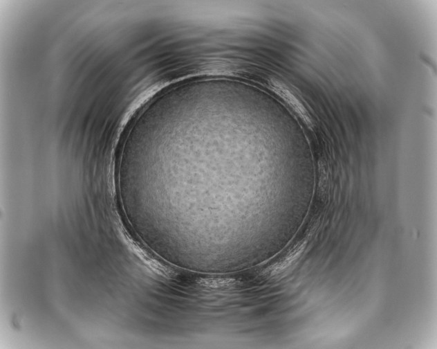 X0000097000939200802221518