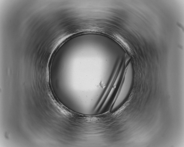 X0000097000940200802221518