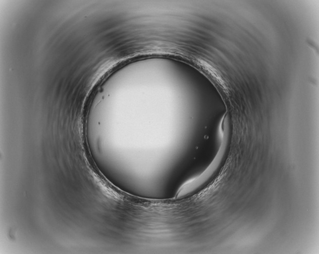 X0000097000942200802221518