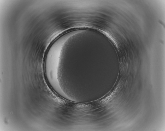 X0000097000943200802221518