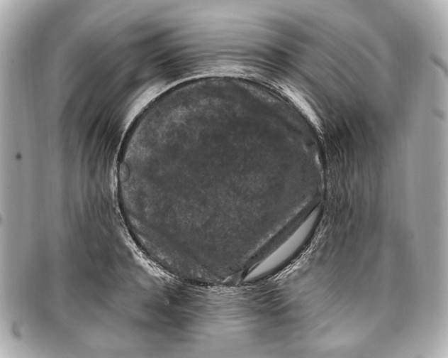 X0000097000944200802221518