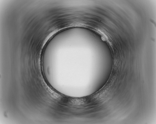 X0000097000947200802221518