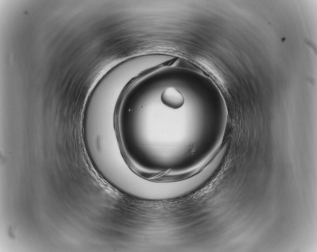 X0000097000948200802221518