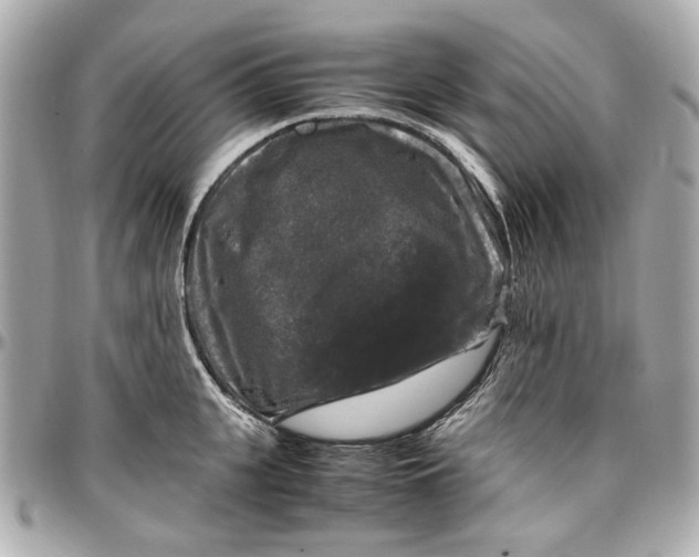 X0000097000951200802221518