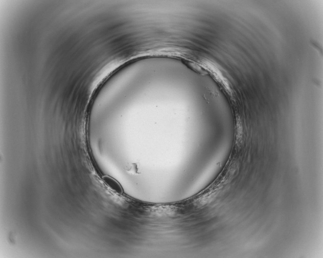 X0000097000952200802221518