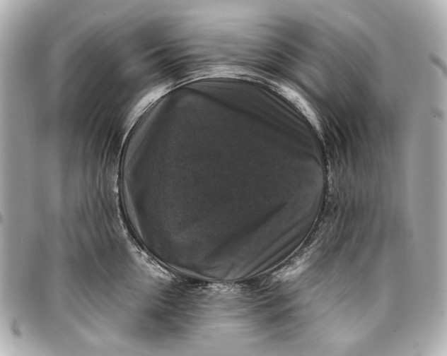 X0000097000954200802221518