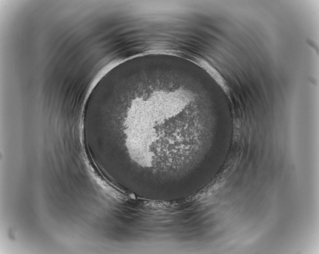 X0000097000955200802221518