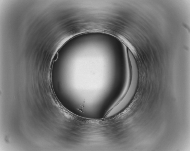 X0000097000956200802221518