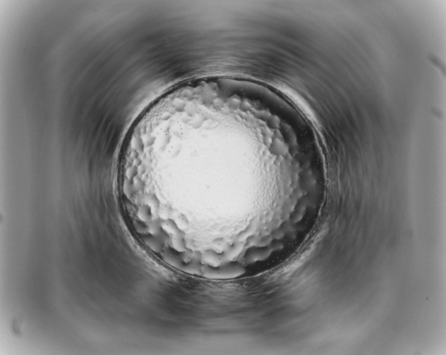 X0000097000957200802221518