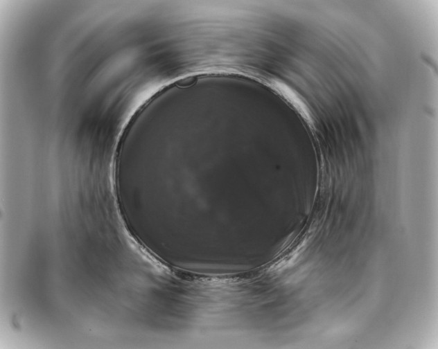 X0000097000958200802221518