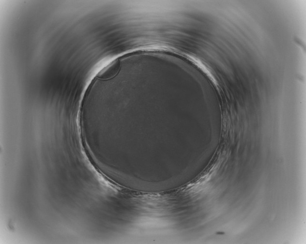 X0000097000959200802221518