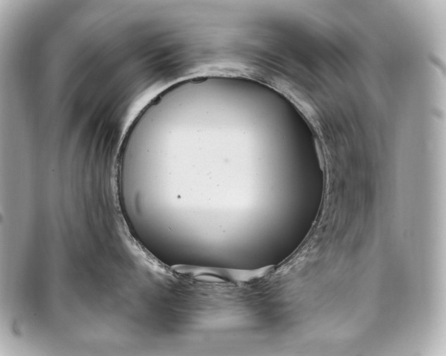 X0000097000960200802221518