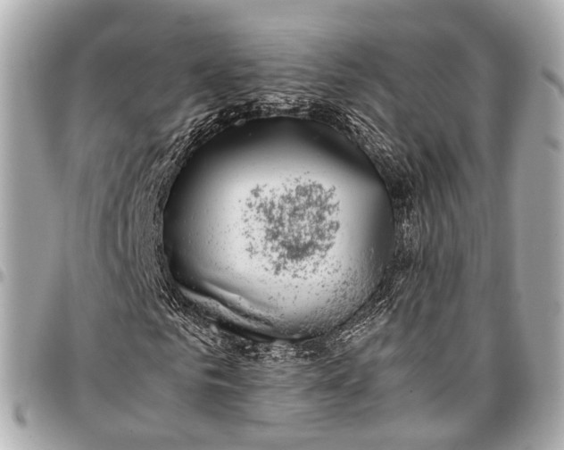 X0000097000961200802221517