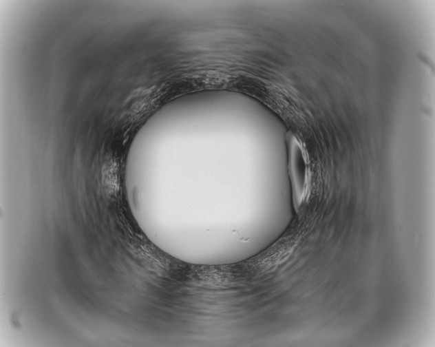 X0000097000962200802221517