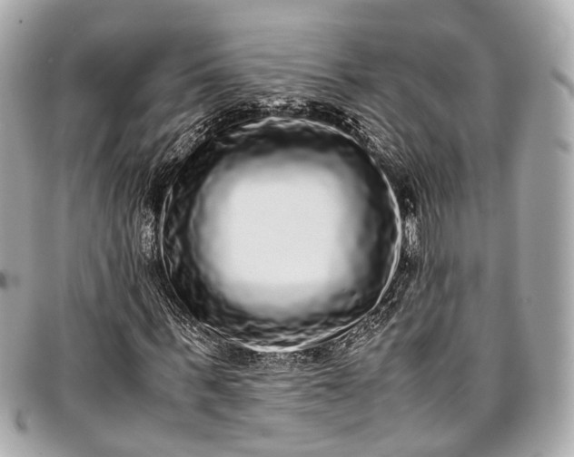 X0000097000963200802221517